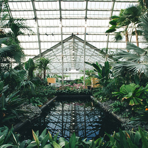 美女自慰动漫自慰动漫
