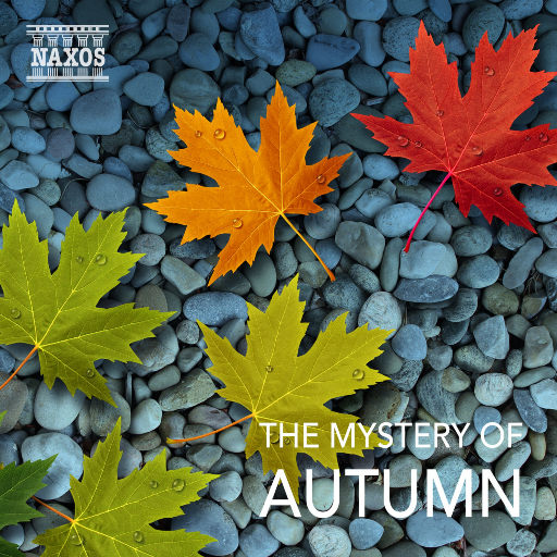 美女自慰动漫自慰动漫
